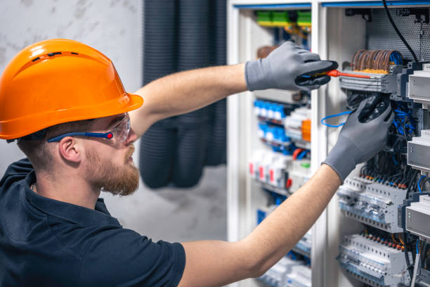 Best Electric Panel Repair  in Tracy City, TN